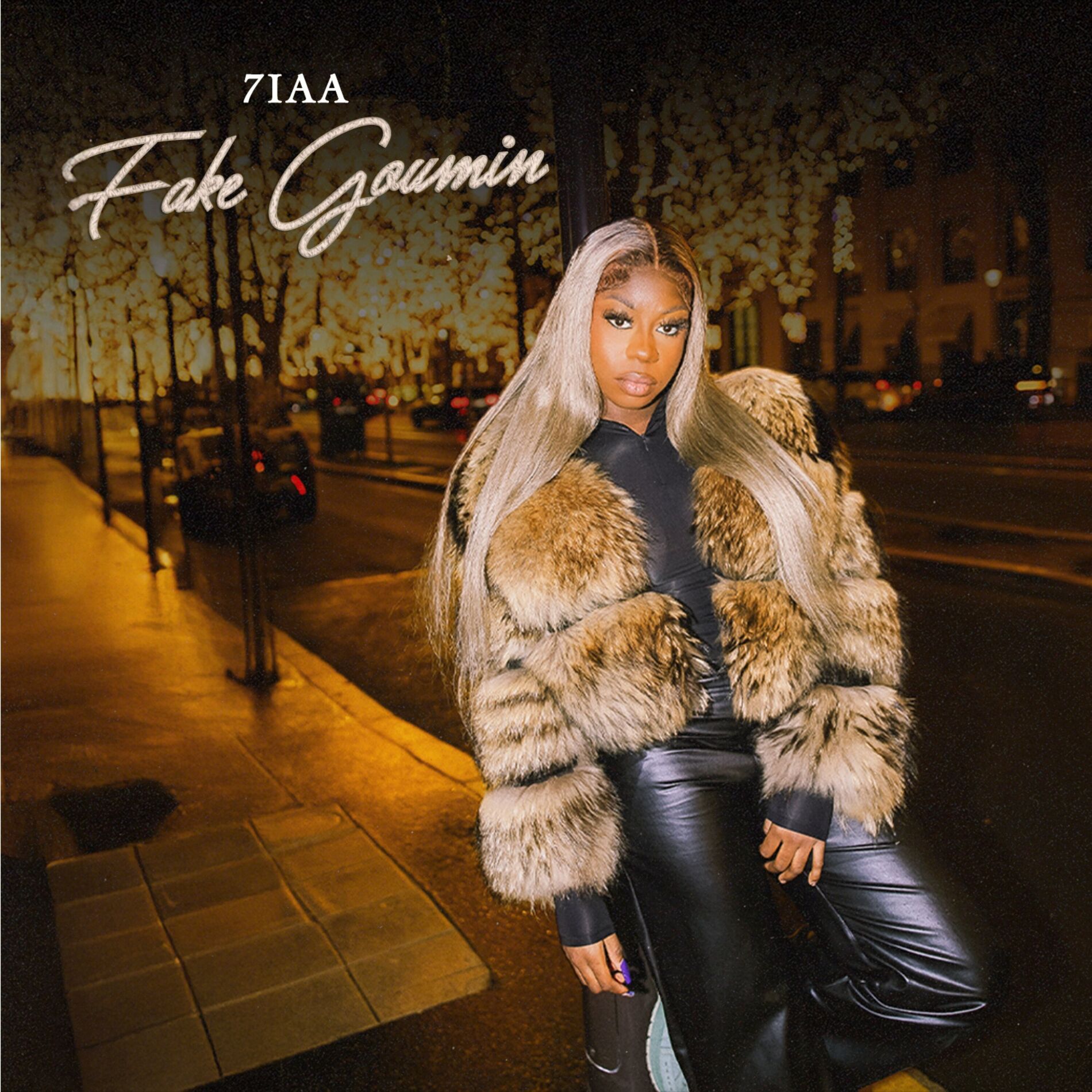 Album cover of Fake Goumin