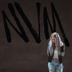 Cover of NVM