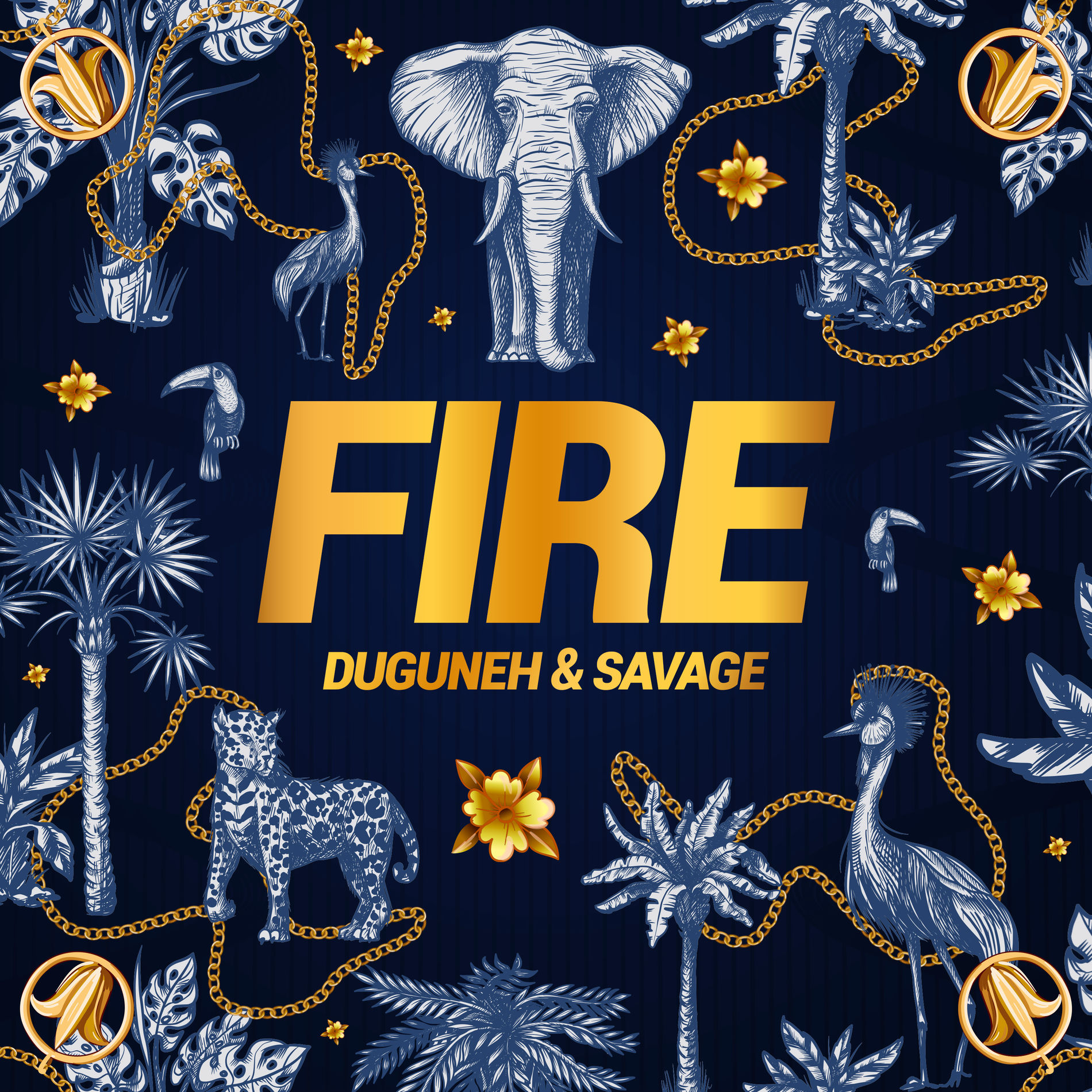 Album cover of Fire