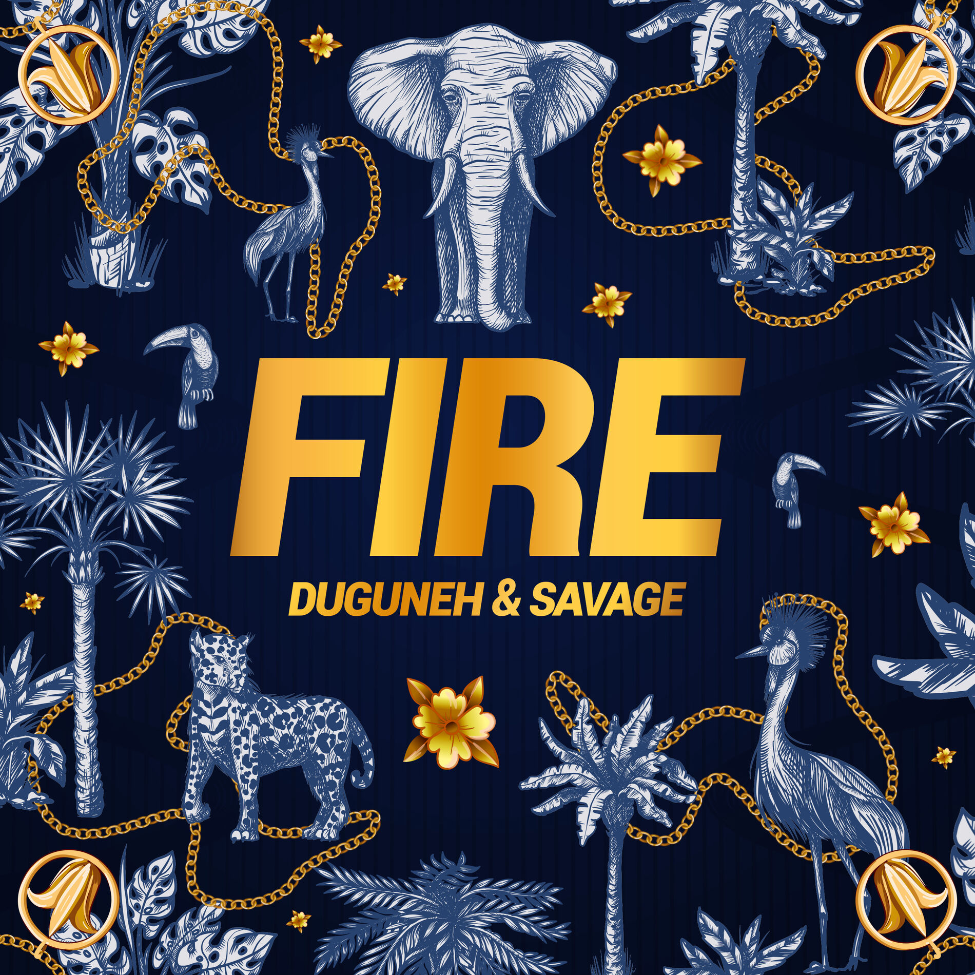 Album cover of Fire