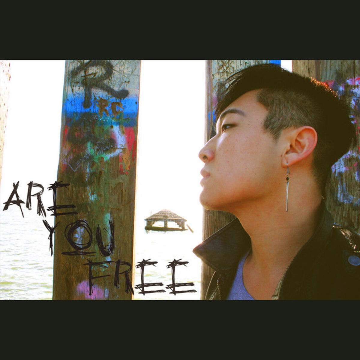 Album cover of Are You Free