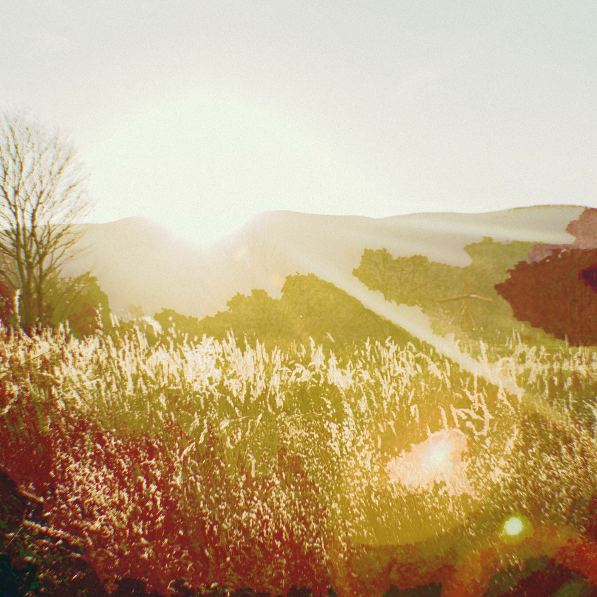 Album cover of Morning Feelin