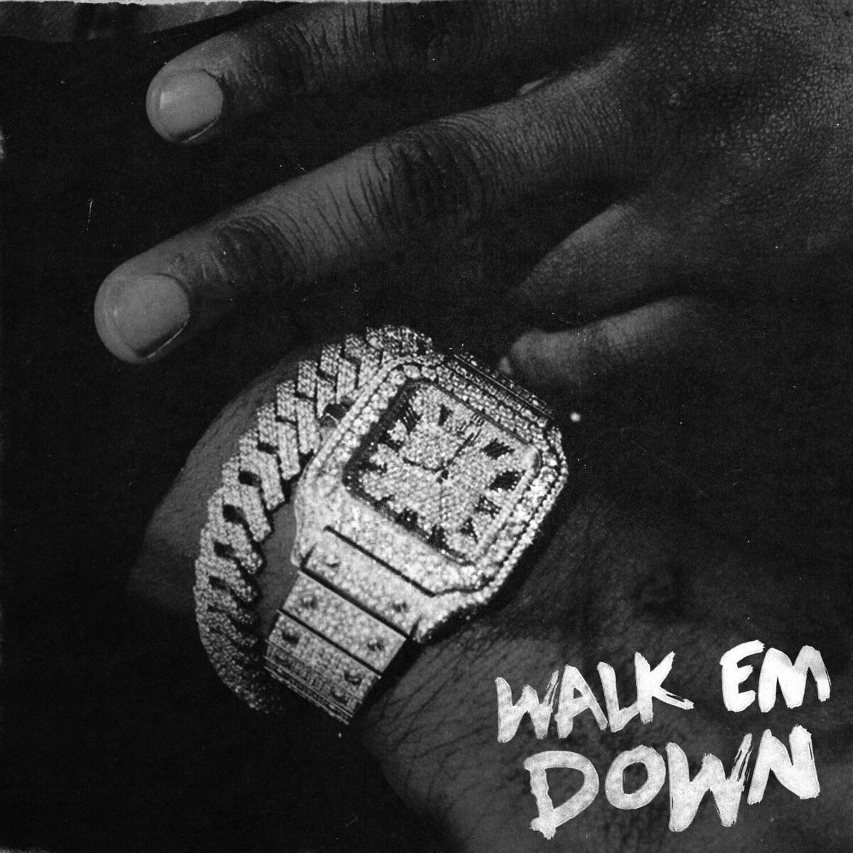 Album cover of Walk Em Down