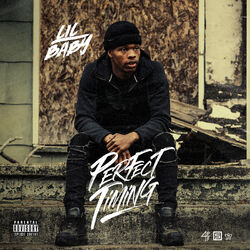 Cover of Perfect Timing