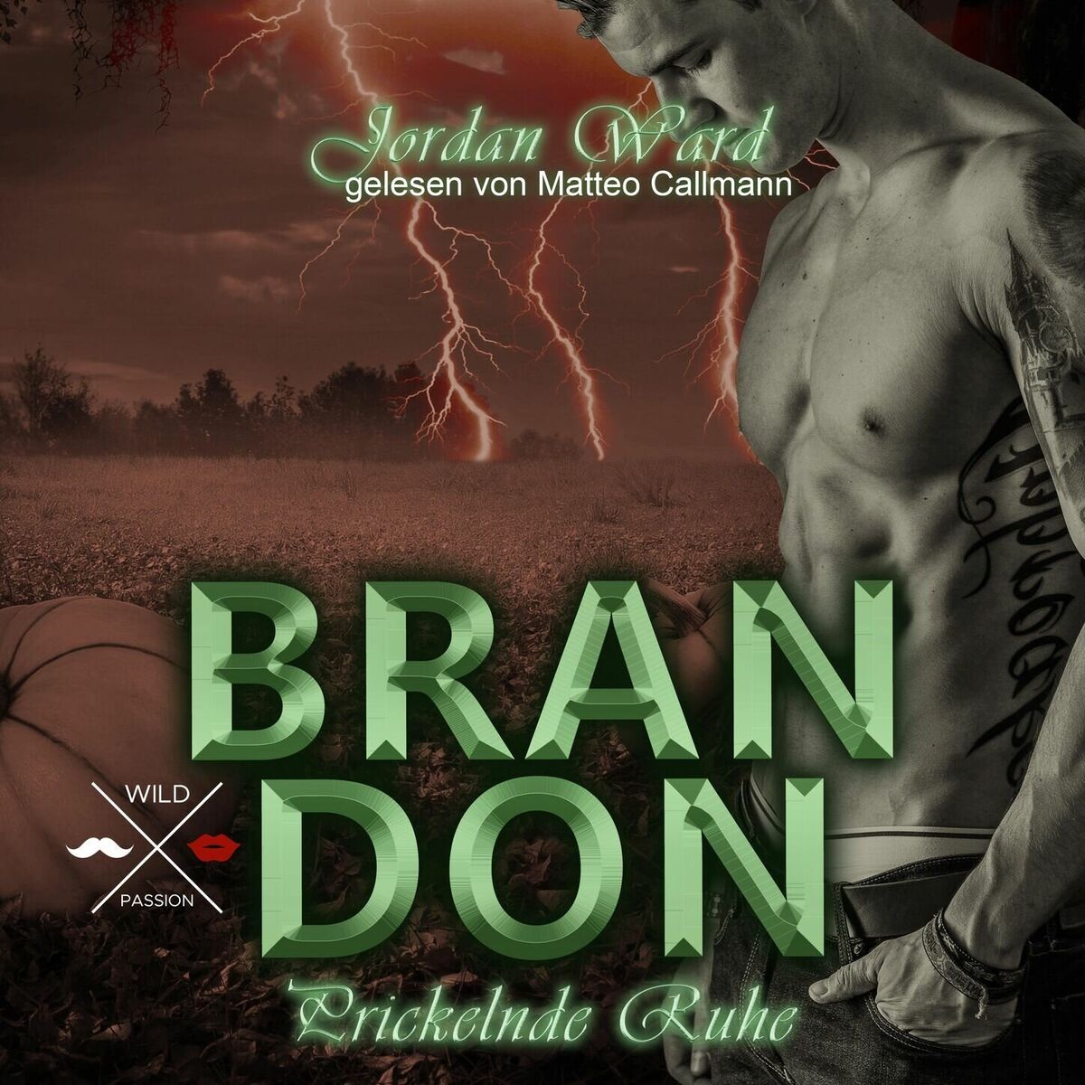 Album cover of Brandon - Secret Desire - Prickelnde Ruhe, Band 3 (ungekürzt)