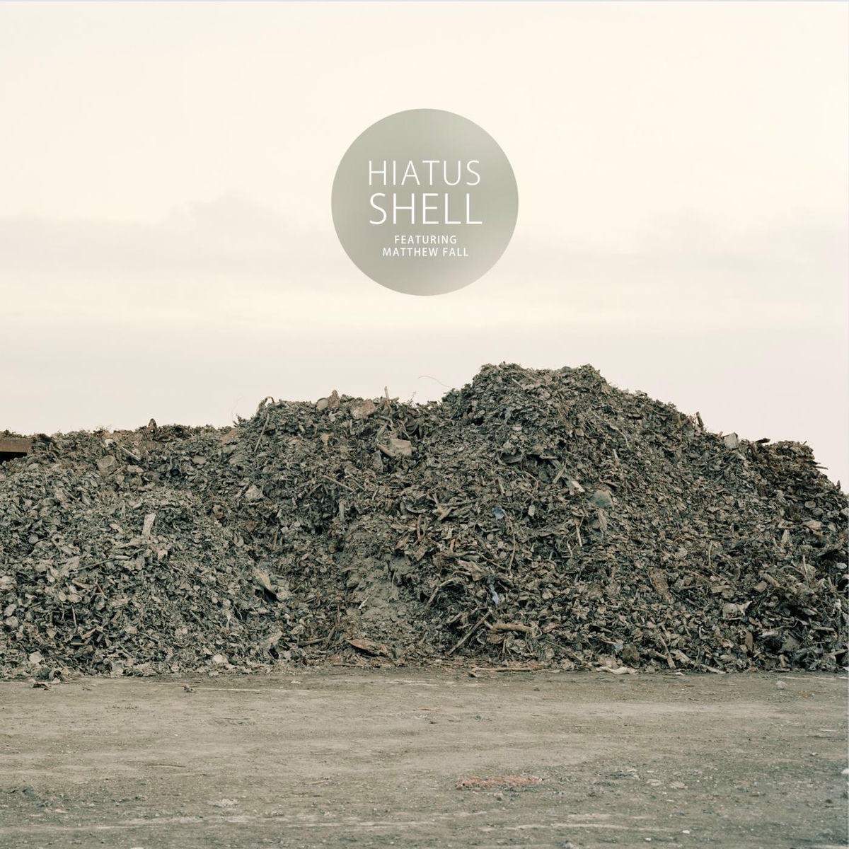 Album cover of Shell (feat. Matthew Fall)