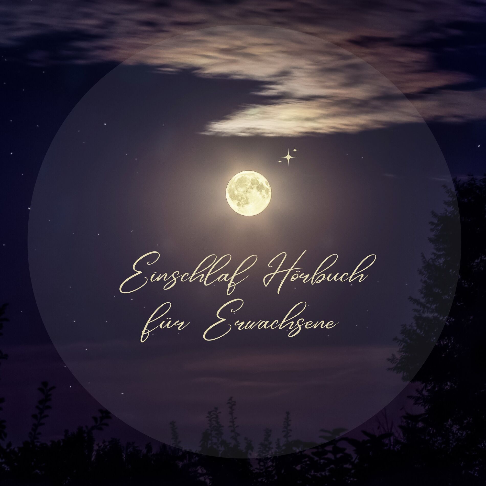 Album cover of Einschlaf Hörbuch für Erwachsene (Eine berührende Meditation zum friedvollen Einschlafen)