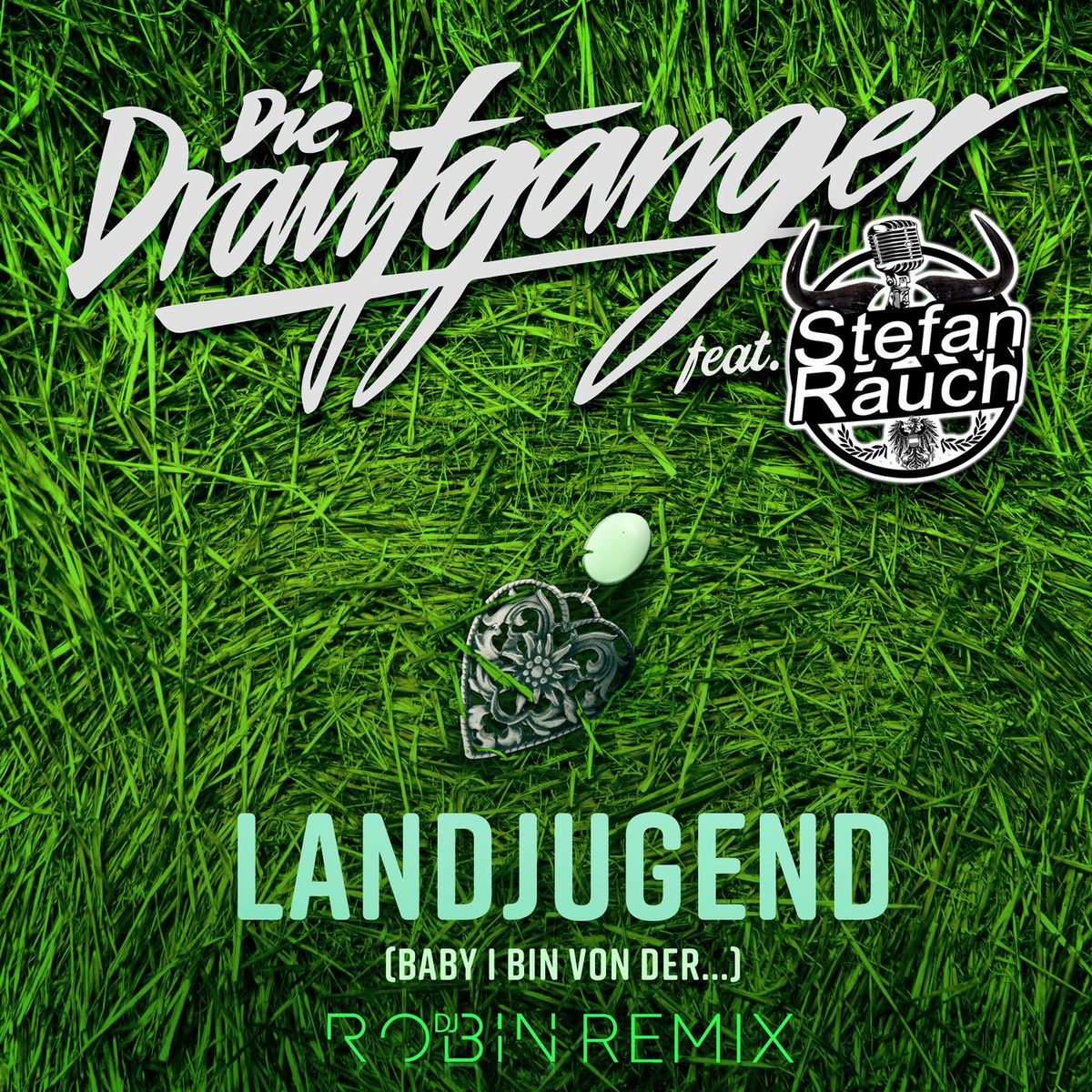 Album cover of Landjugend (Baby, i bin von der...)