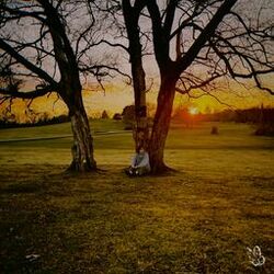 Cover of I Know