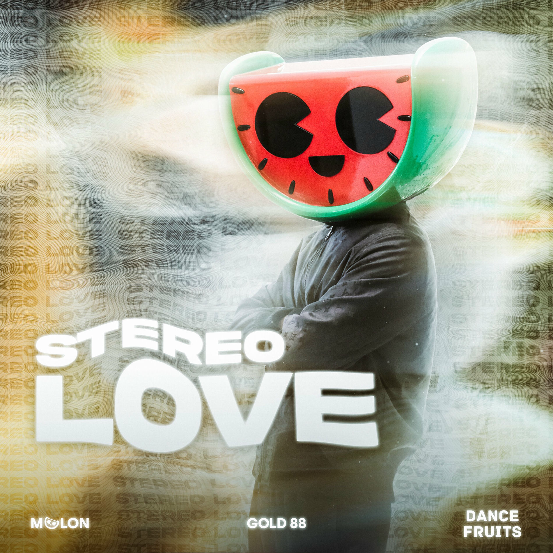 Album cover of Stereo Love