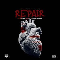 Cover of Repair
