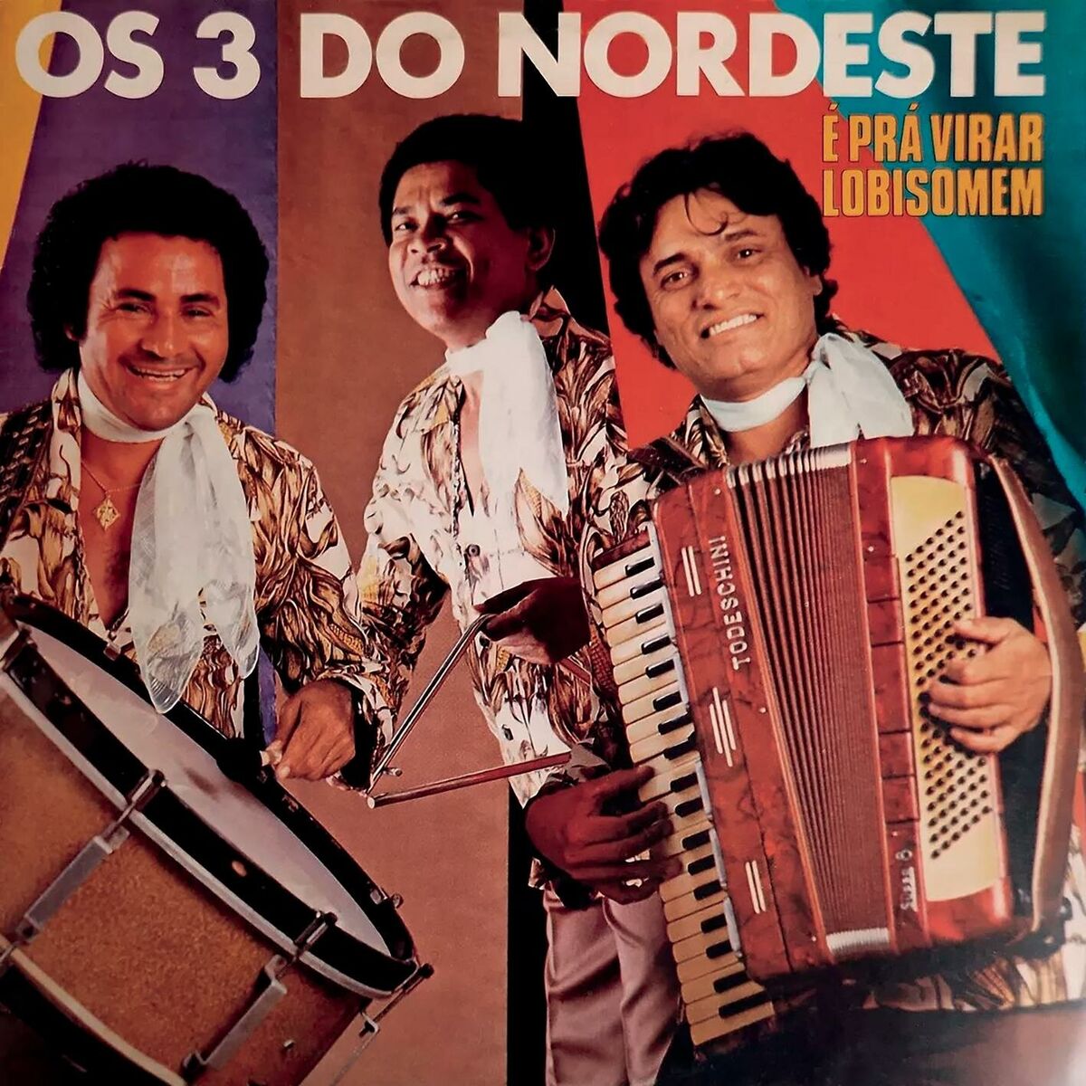 Album cover of É Pra Virar Lobisomem