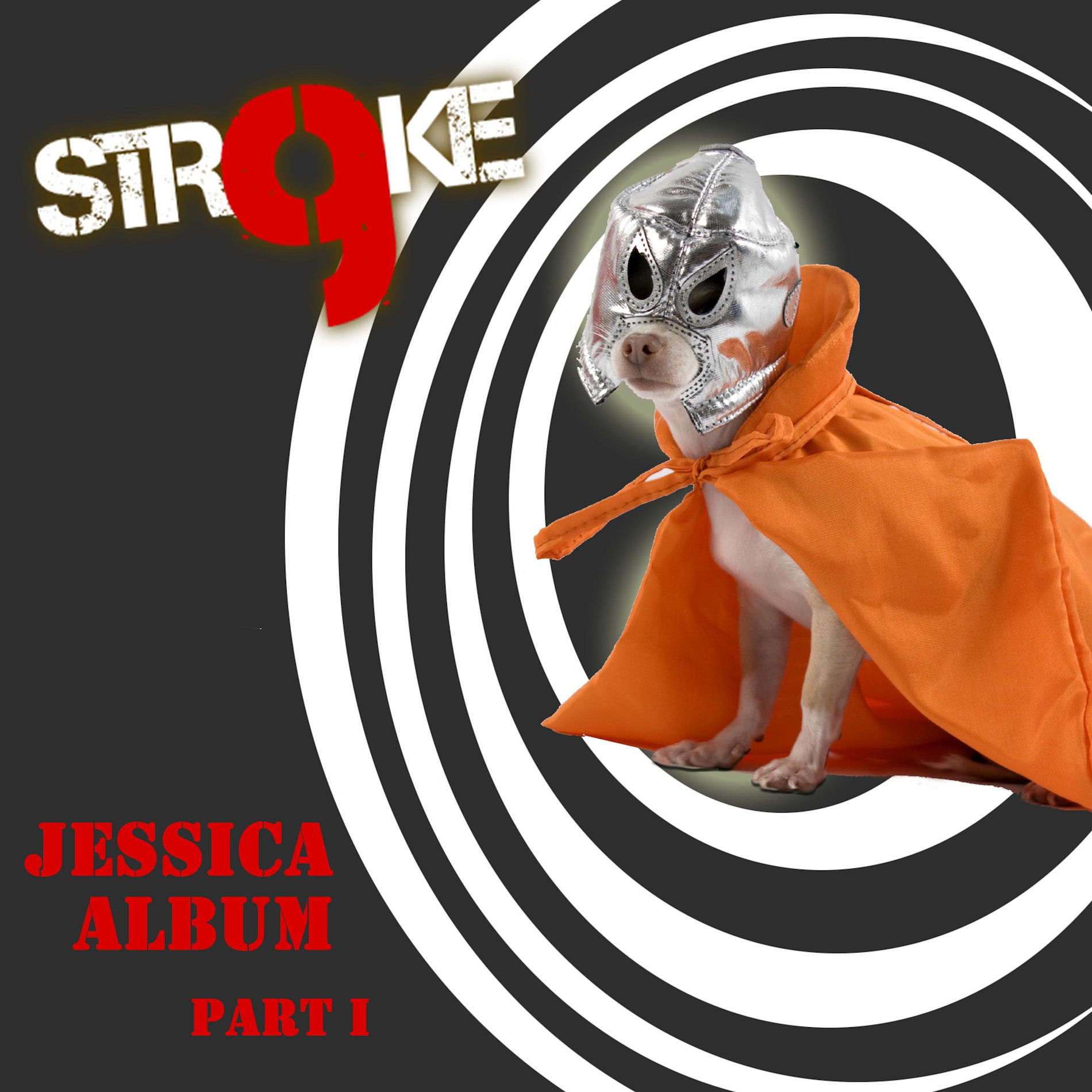 Album cover of Jessica Album, Pt. 1
