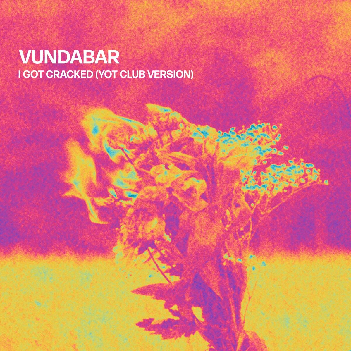 Album cover of I Got Cracked (Yot Club Version)