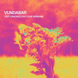 Cover of I Got Cracked (Yot Club Version)