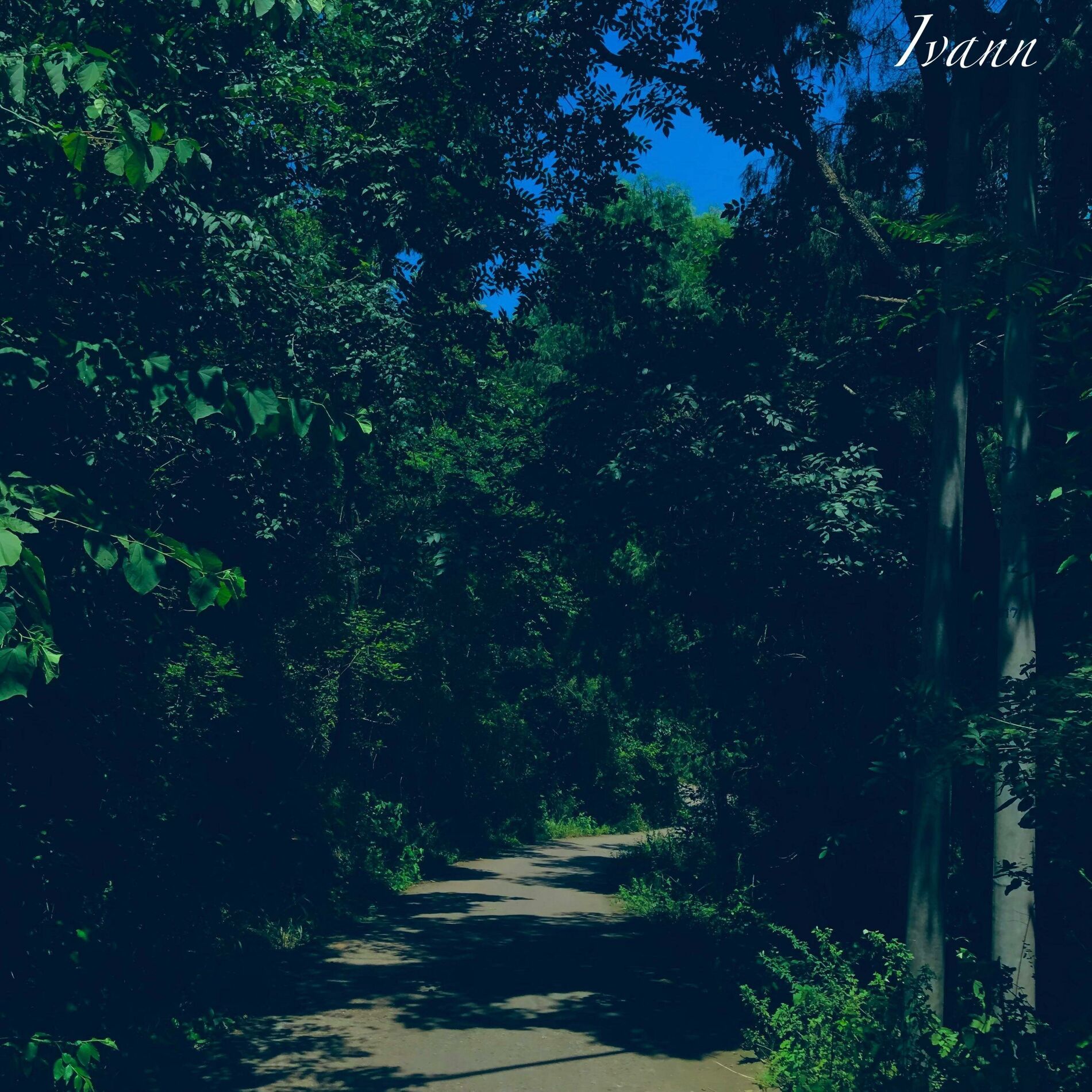 Album cover of 5 Meses