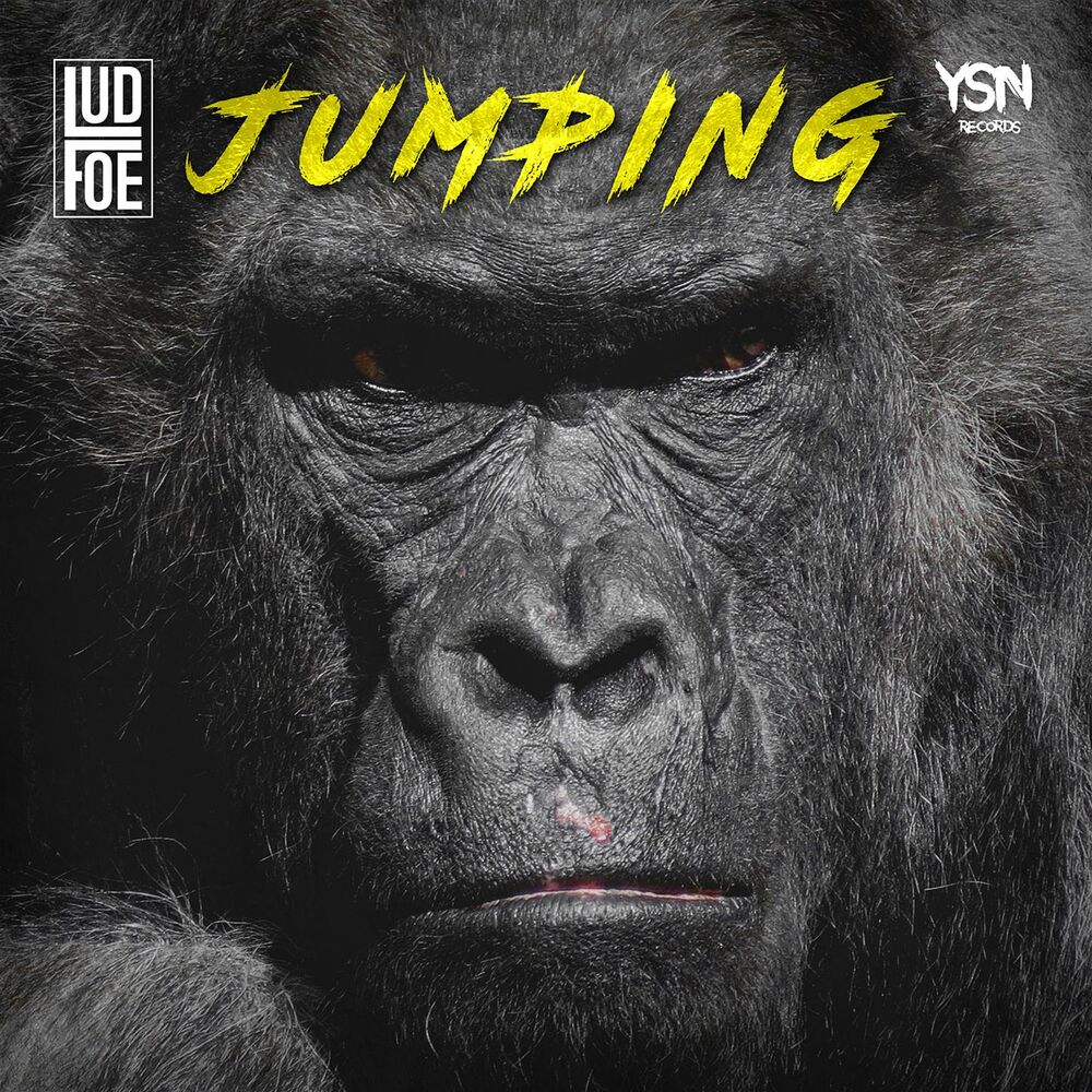Picture of Jumping