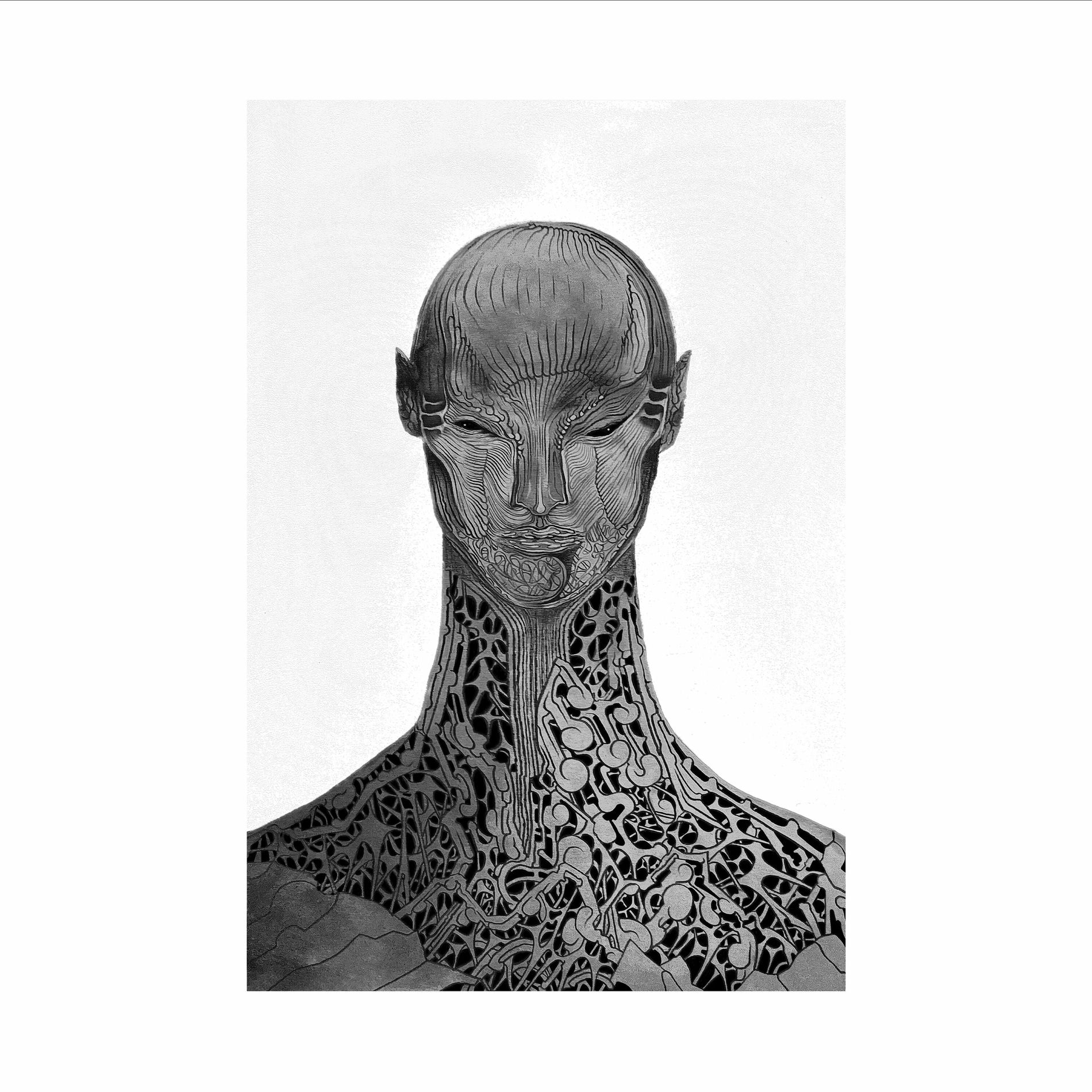 Album cover of shani X