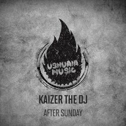 Cover of After Sunday
