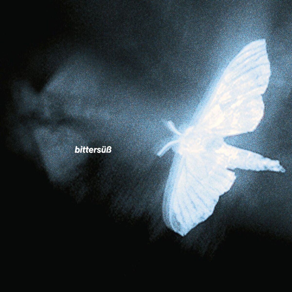 Album cover of Bittersüß