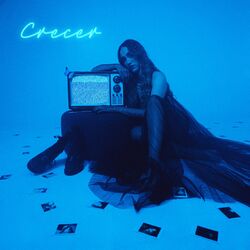Cover of Crecer