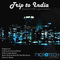 Cover of Trip To India