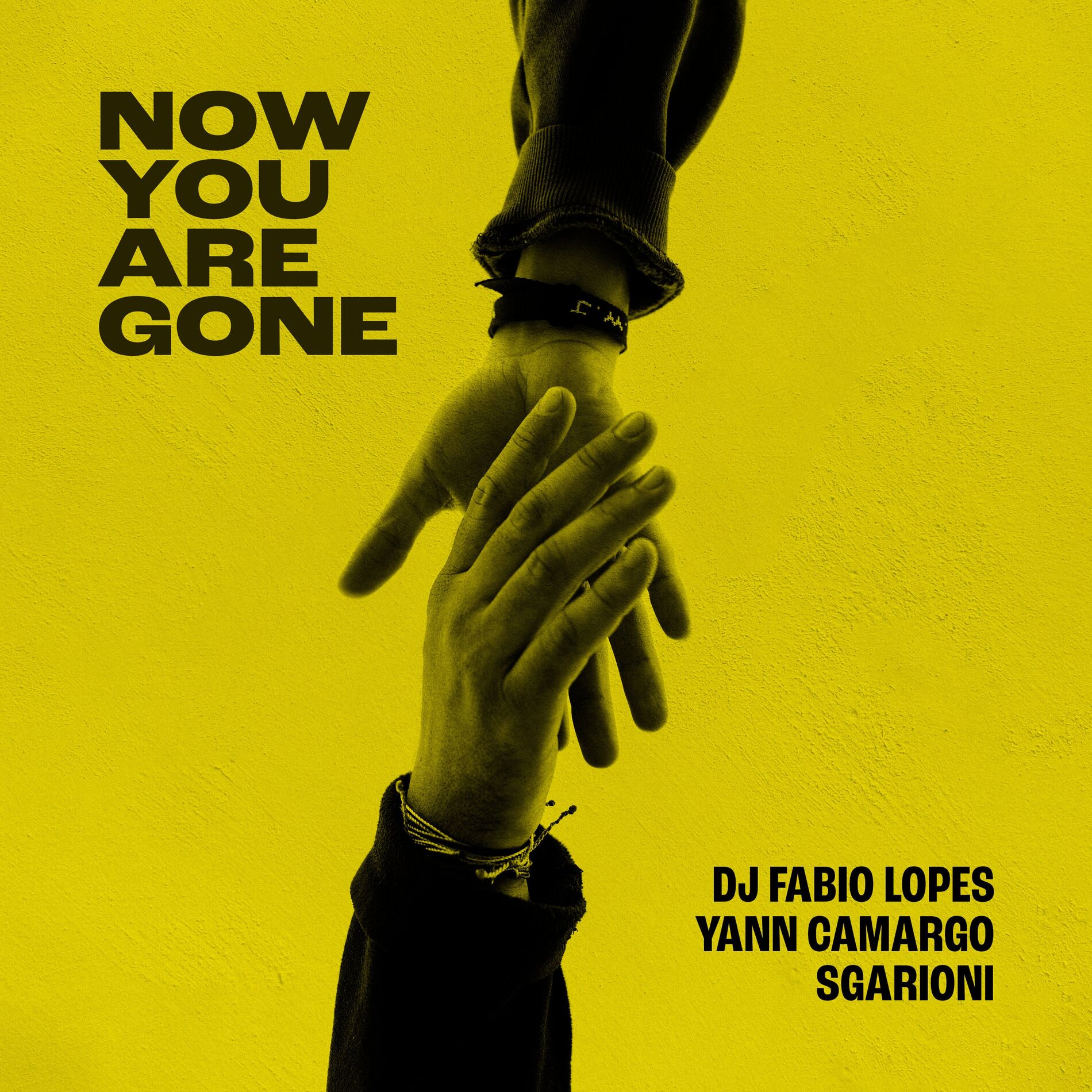 Album cover of Now You Are Gone