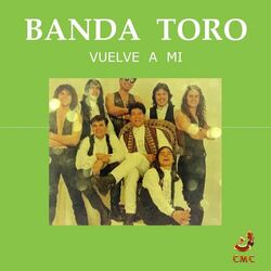 Cover of Vuelve a Mi