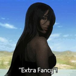 Cover of Extra fancy