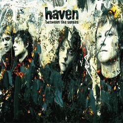 Cover of Between The Senses
