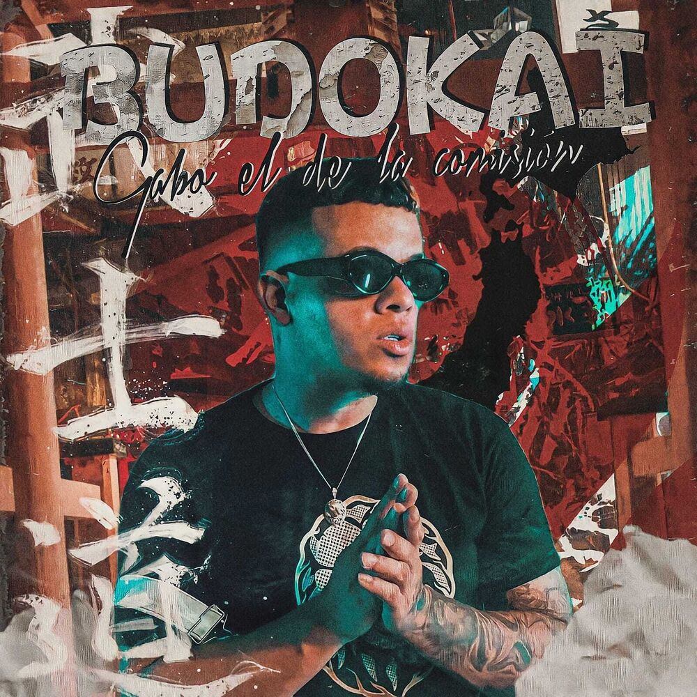 Picture of Budokai