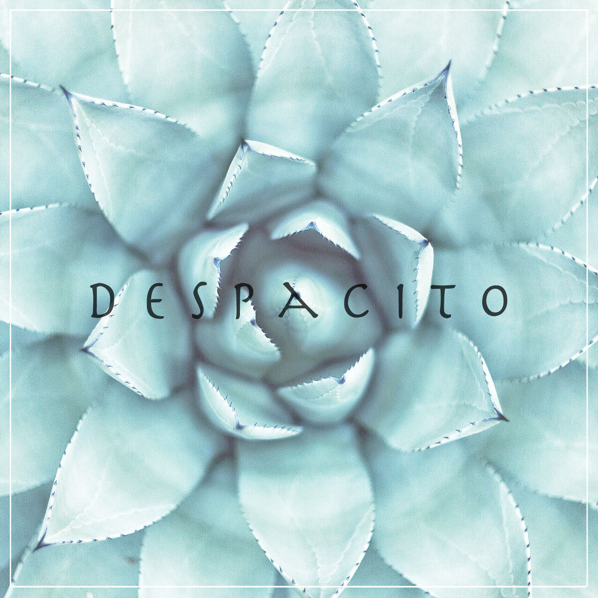 Album cover of Despacito