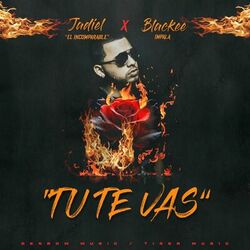 Cover of Tu Te Vas