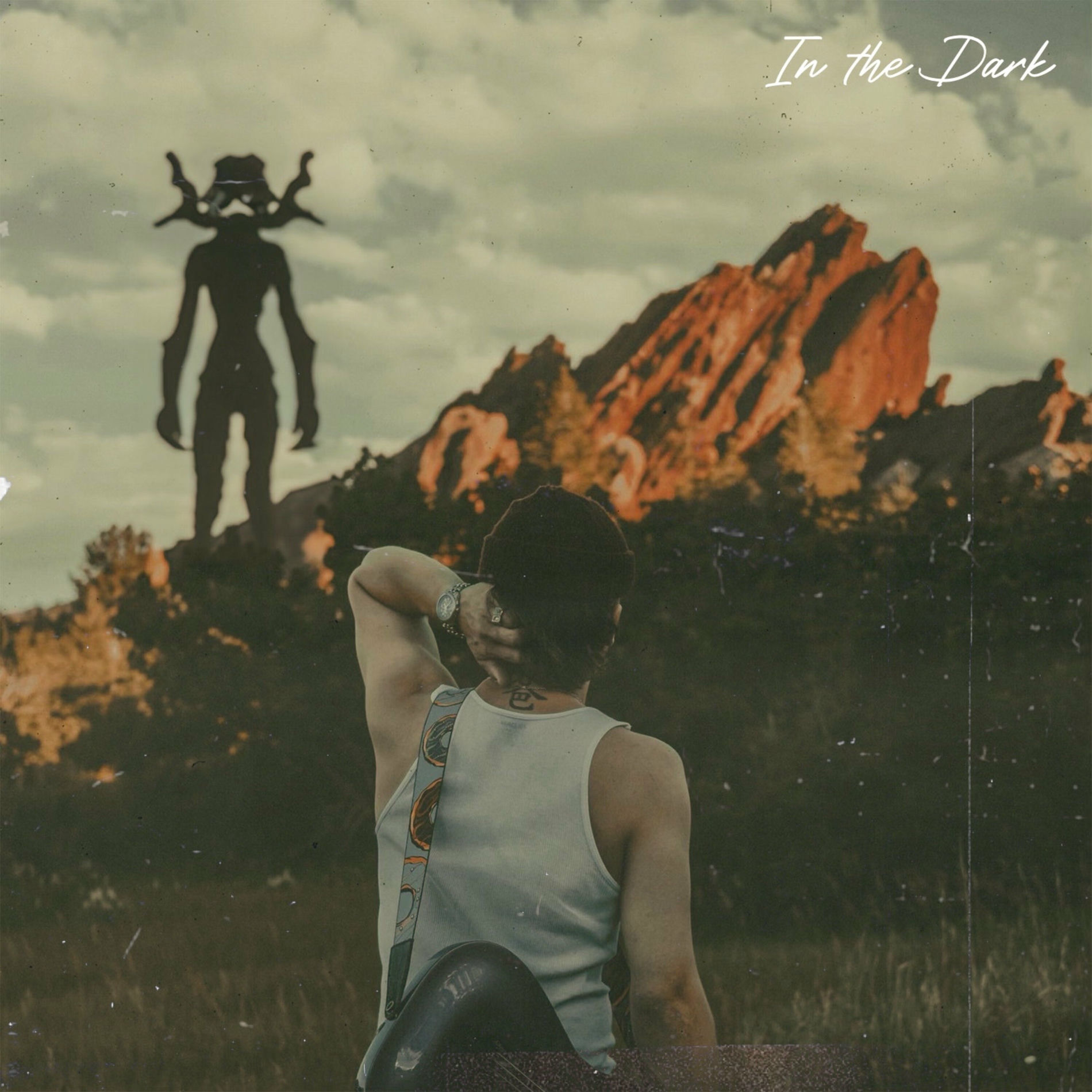 Album cover of in the dark