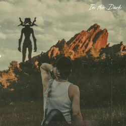 Cover of in the dark