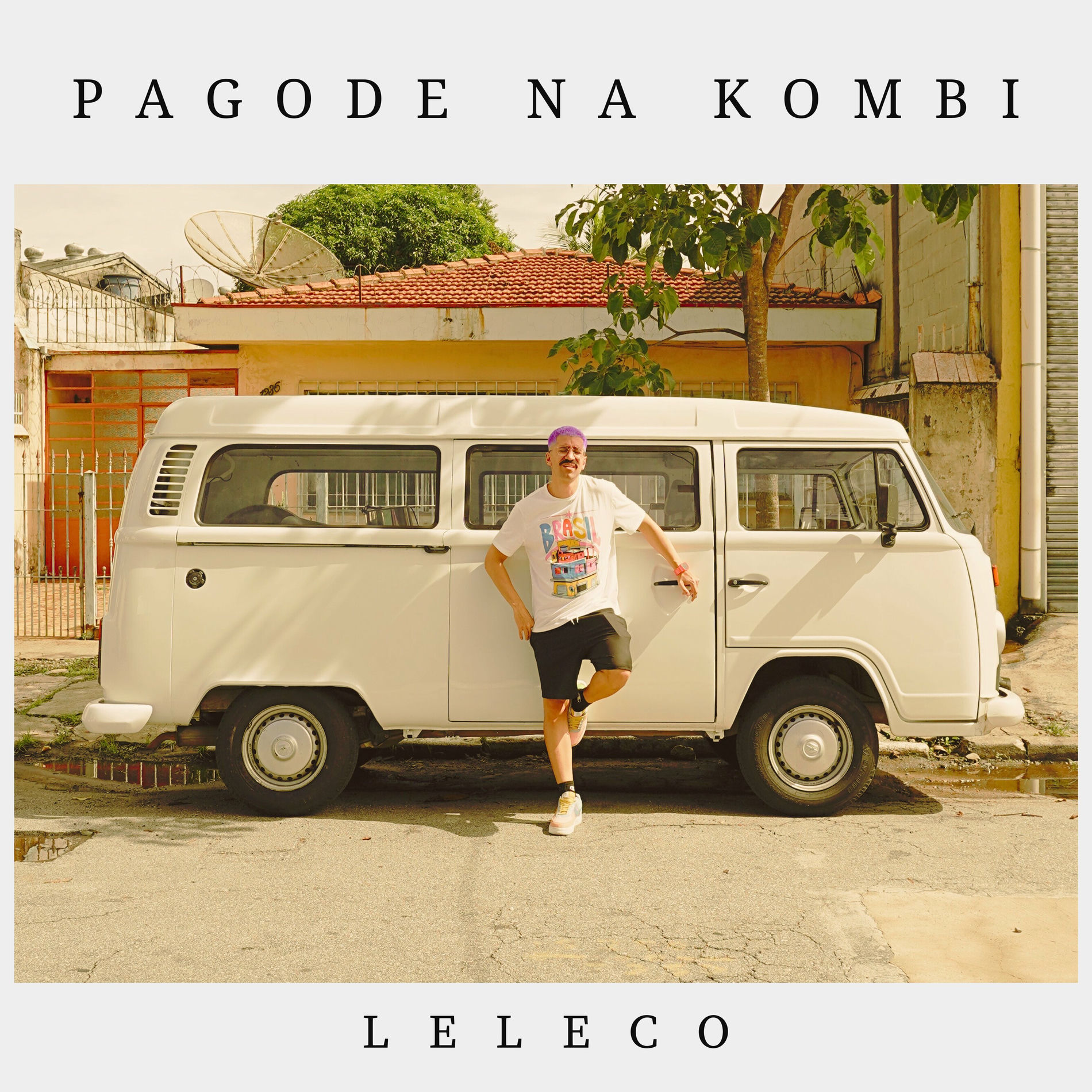 Album cover of Pagode na Kombi (Ao Vivo)