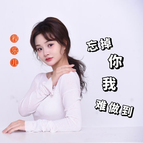 忘掉你我难做到(粤语金曲)