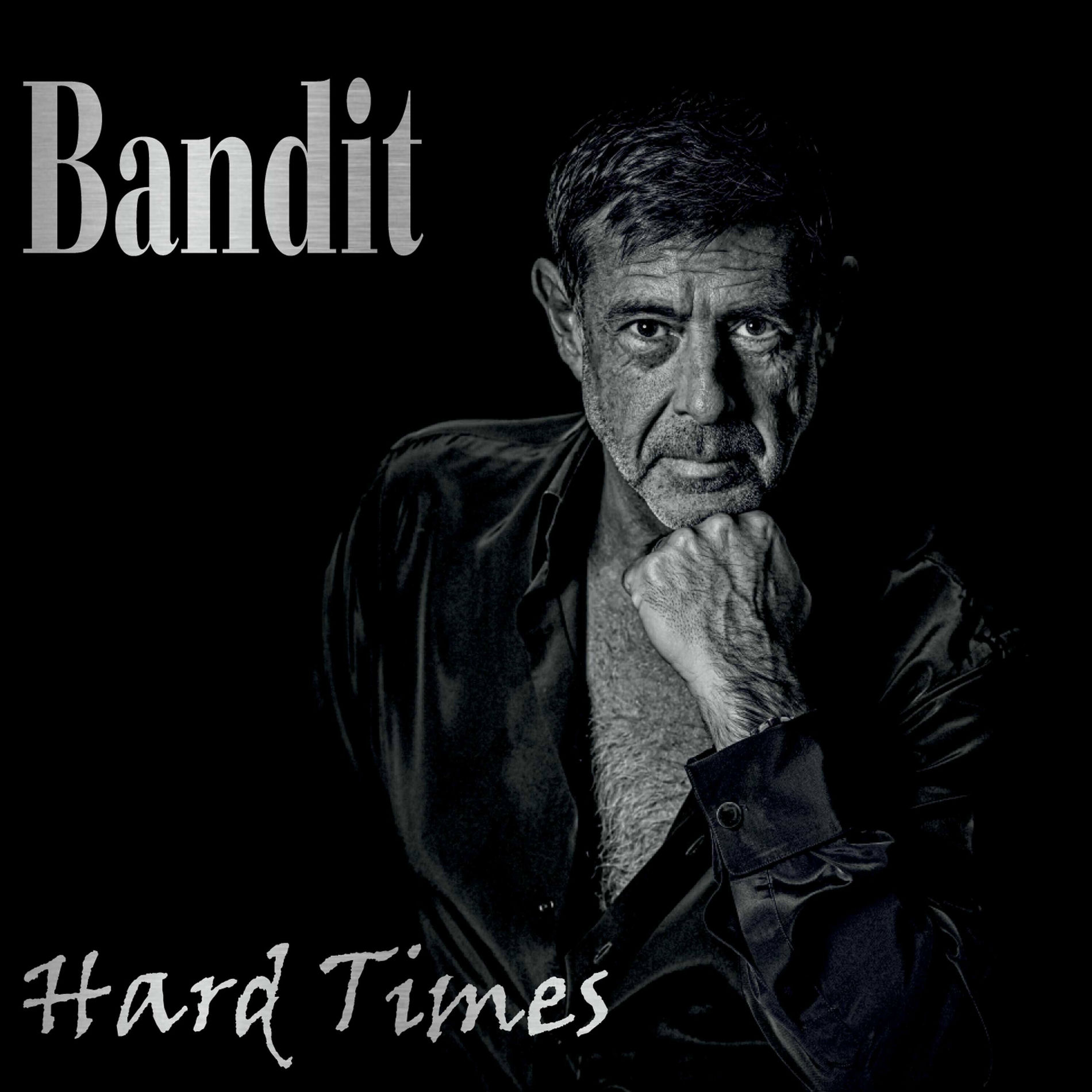 Album cover of Hard Times