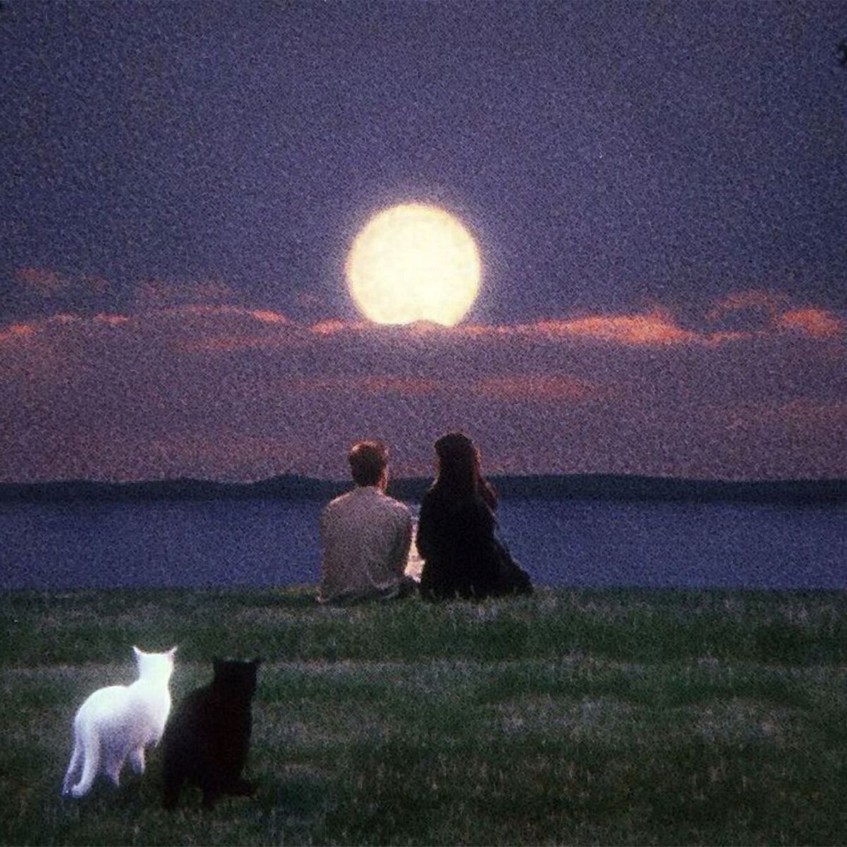 Album cover of The Little Prince