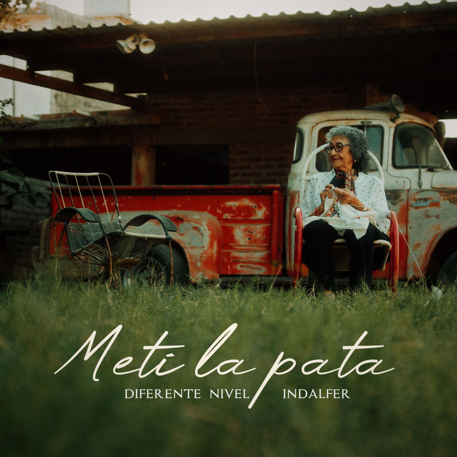 Album cover of Meti La Pata