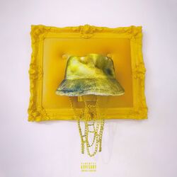 Cover of The Documented Baller