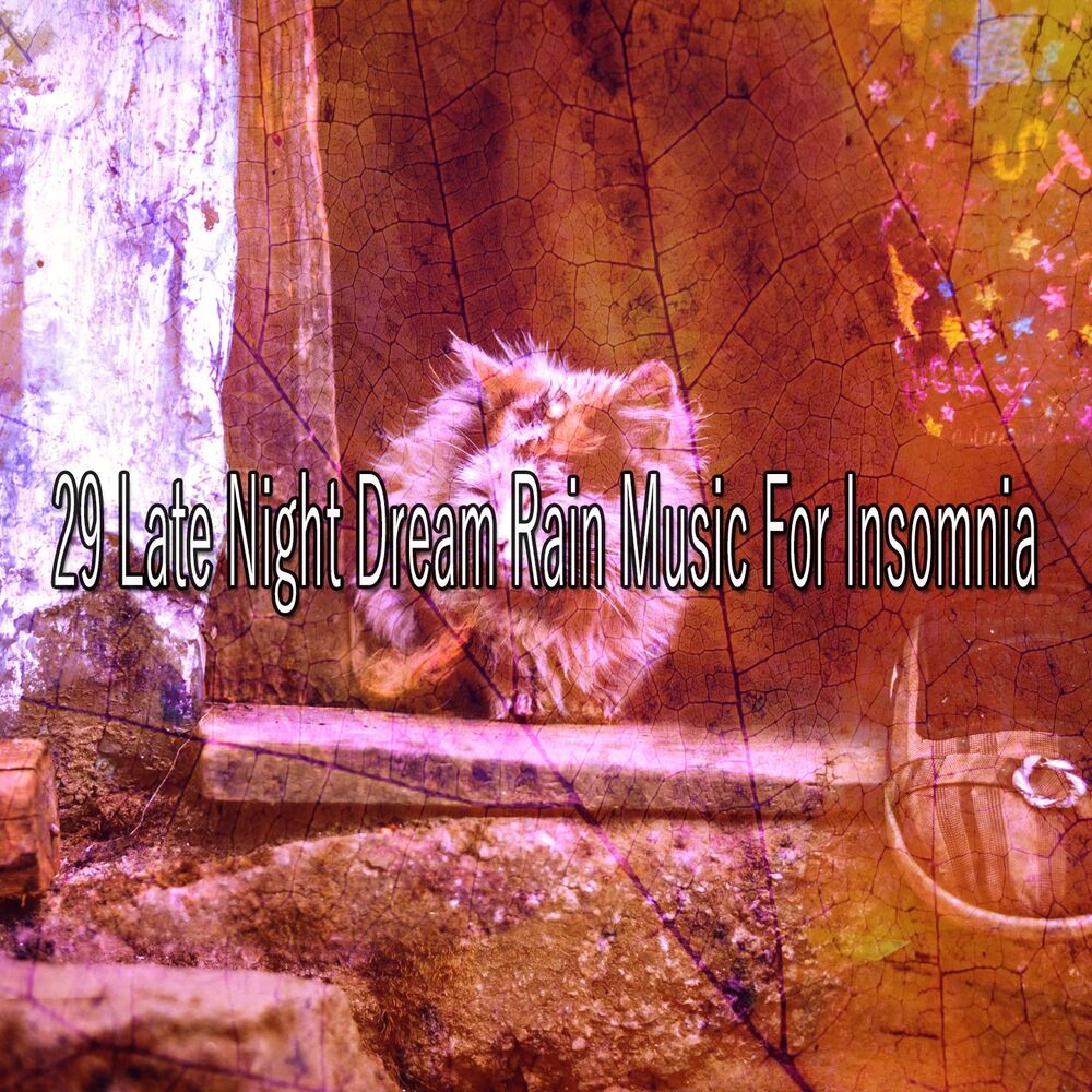 Picture of 29 Late Night Dream Rain Music for Insomnia