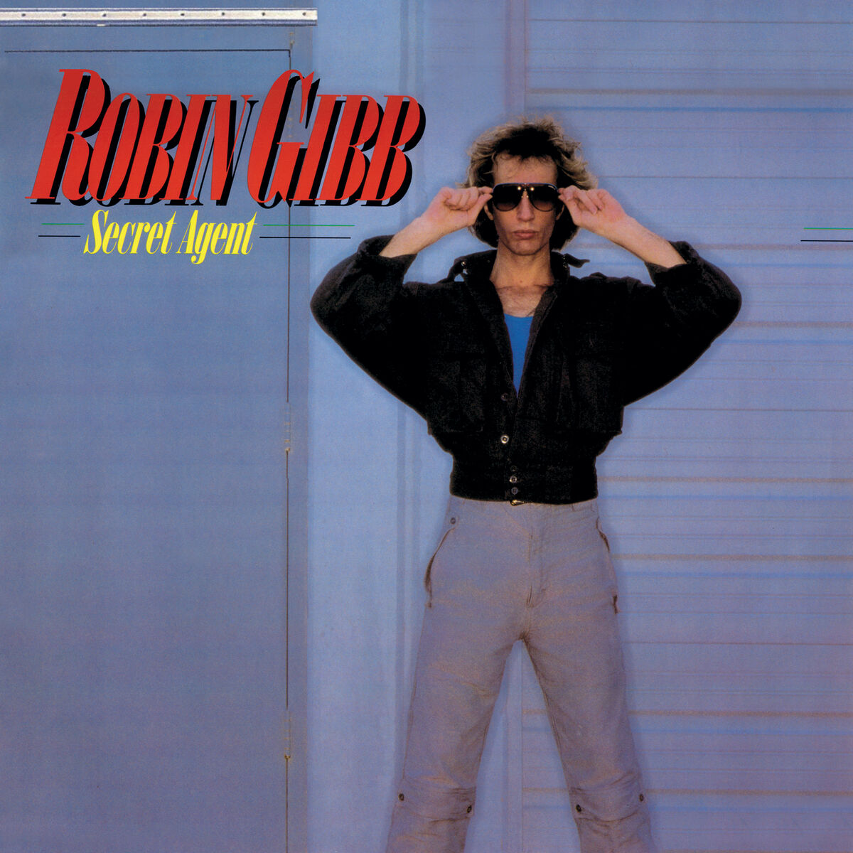 Album cover of Boys Do Fall In Love