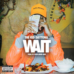 Cover of Wait