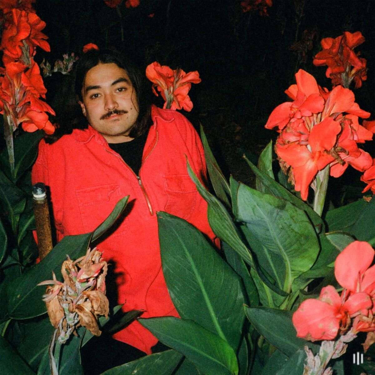 Album cover of Autumn Collection