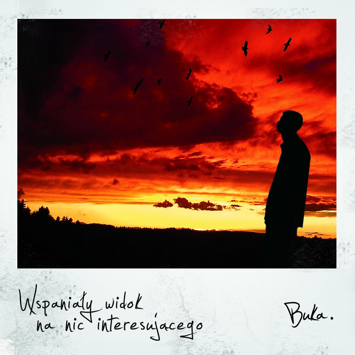 Album cover of Wspaniały widok na nic interesującego