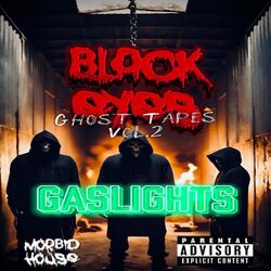 Cover of Gaslights The Ghost Tapes, Vol. 2