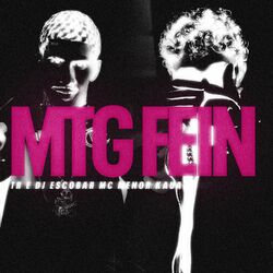 Cover of MTG Fein