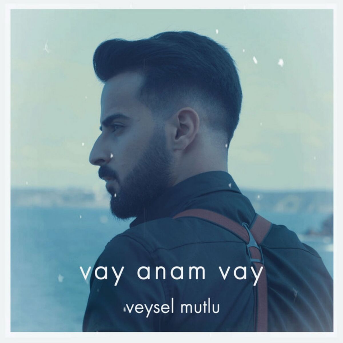 Album cover of vay anam vay