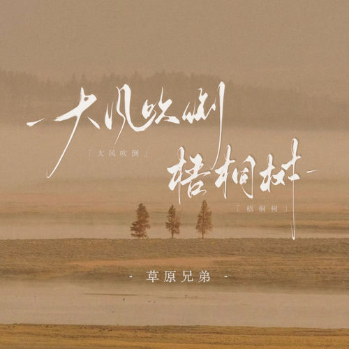 大风吹倒梧桐树 (DJ默涵版)